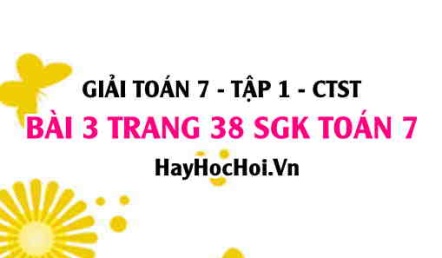 Giải bài 3 trang 38 Toán 7 Tập 1 SGK Chân trời sáng tạo